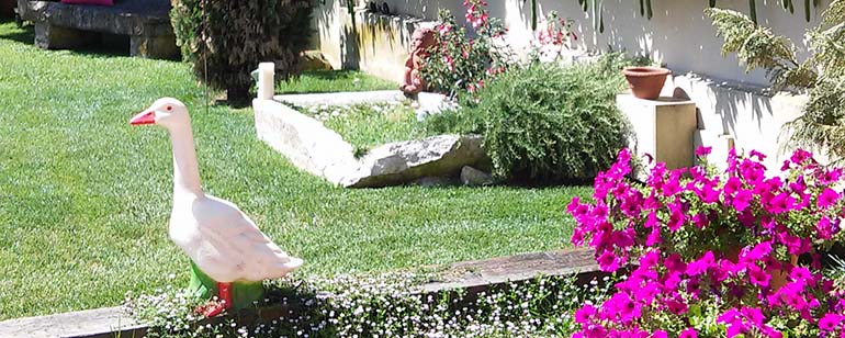 Design and advice of gardens in Sabadell